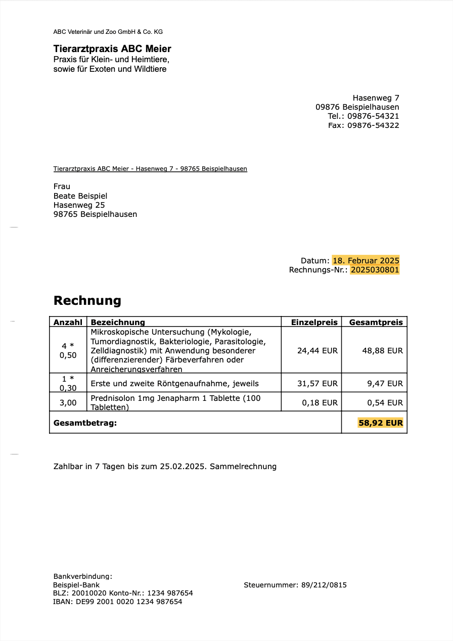 Invoice Example